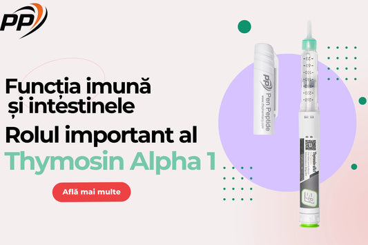 Funcția imună și intestinele Rolul important al Thymosin Alpha 1