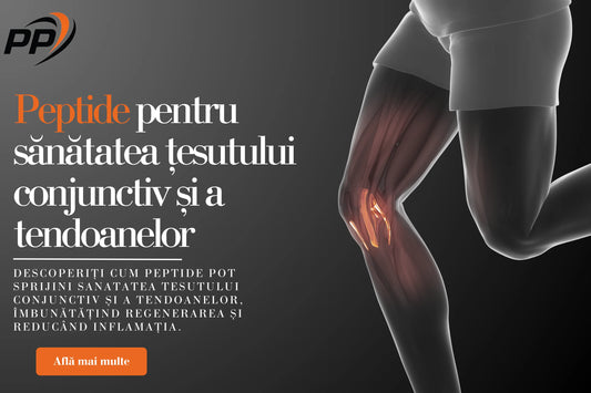 Peptide pentru sănătatea țesutului conjunctiv și a tendoanelor