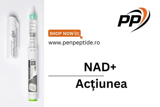 Nicotinamida Acțiunea