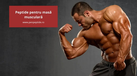 Peptide pentru masă musculară
