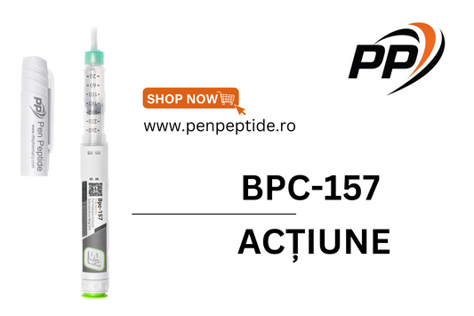 BPC-157 - Acțiune