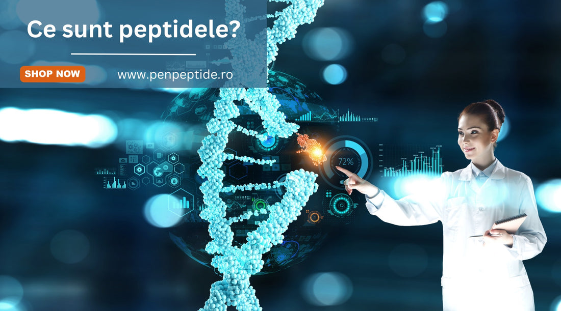 Ce sunt peptidele?